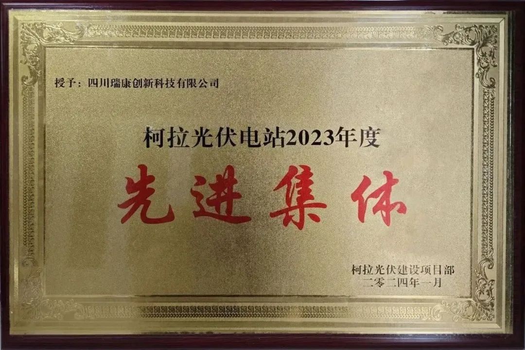 四川瑞康荣获先进集體(tǐ)称号 四川瑞康荣获先进集體(tǐ)称号